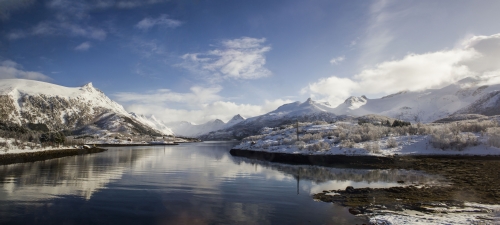 Hurtigruten cruises